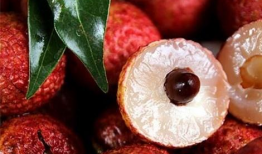 荔枝娱乐圈吃瓜爆料,荔枝吃瓜爆料，明星幕后故事大曝光