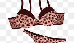 动漫内衣,时尚与个性的完美融合